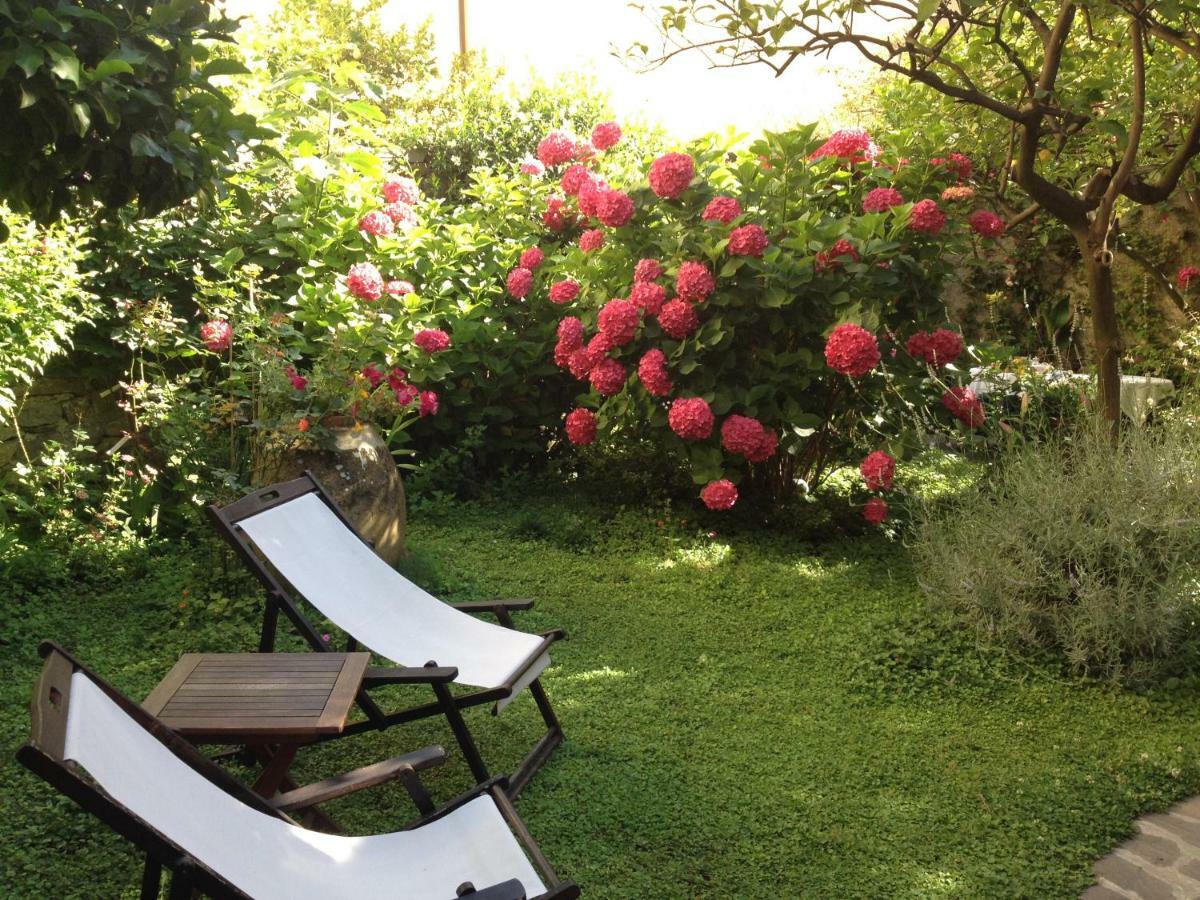 Il Giardino Incantato มอนเตรอสโซ อัล มาเร ภายนอก รูปภาพ
